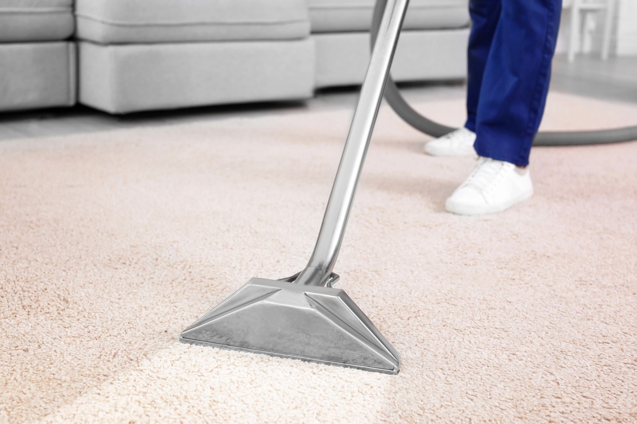 Professional carpet cleaning